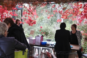 Winery Scene
